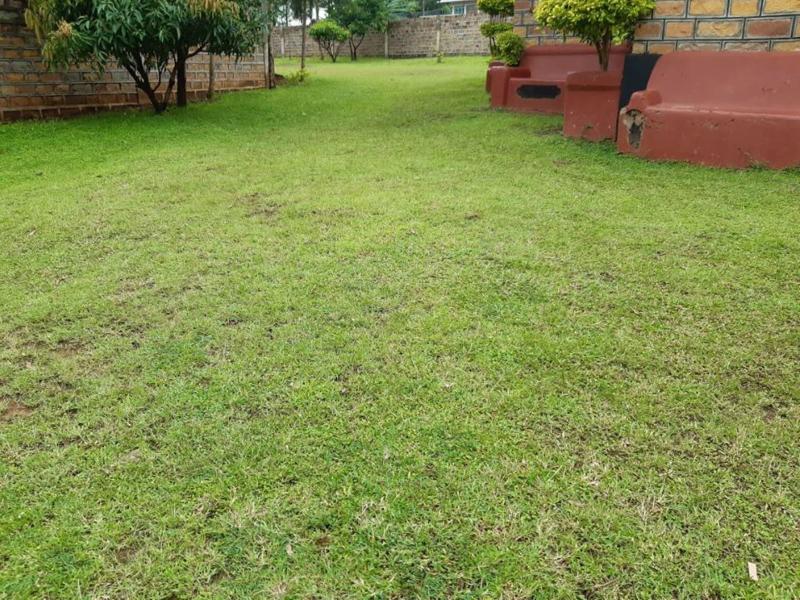Intelbliss Resorts image