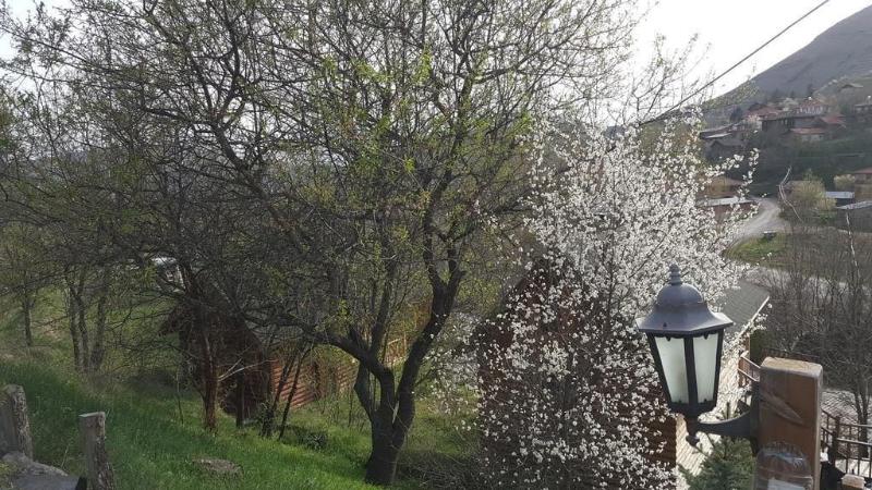 Vegke Kutuk Evleri — general view