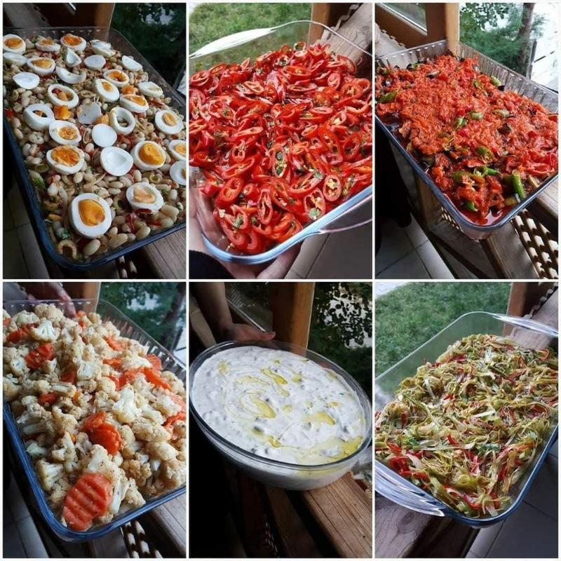 Vegke Kutuk Evleri