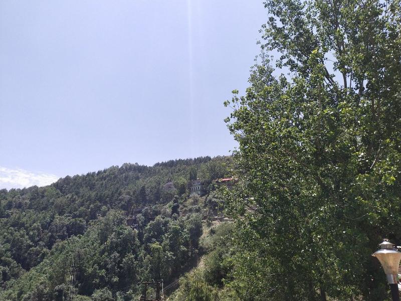 Treehouse Mars Valley View image