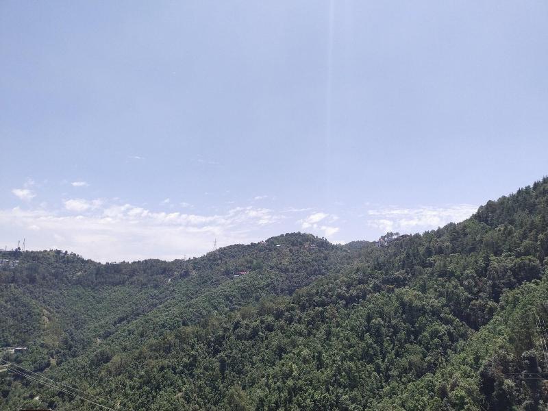 Treehouse Mars Valley View image