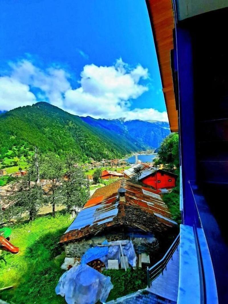 Liva Teras image