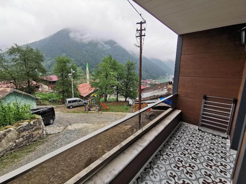 Liva Teras image