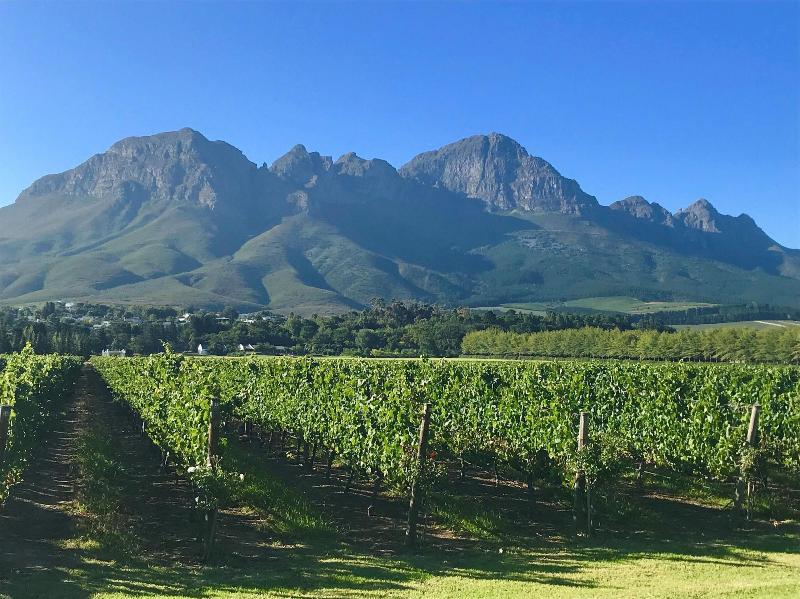 Yebo Boutique Guesthouse image