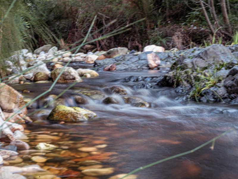 A Riverbed Guesthouse