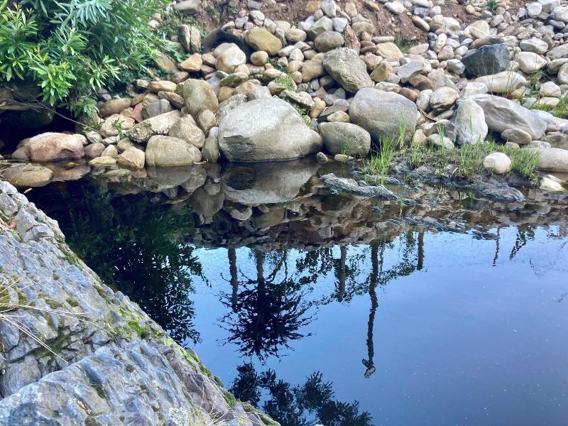 A Riverbed Guesthouse