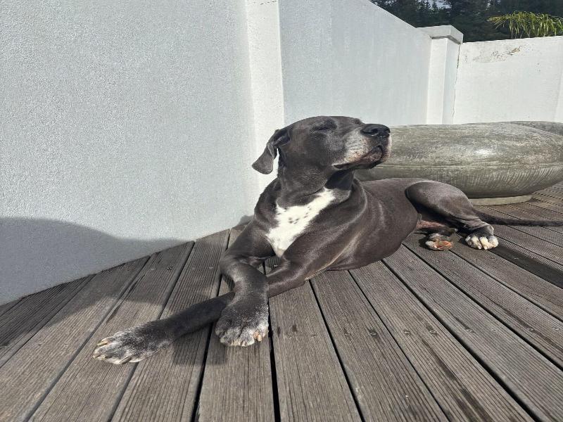 A Riverbed Guesthouse