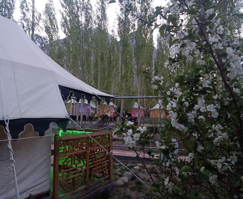 Nubra Ethnic Camp — general view