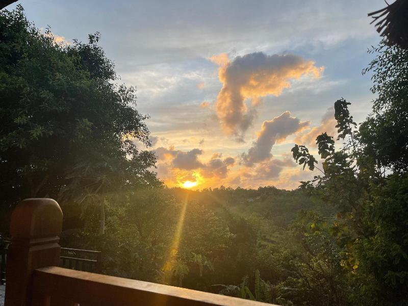 Innora Jungle Resort And Spa image