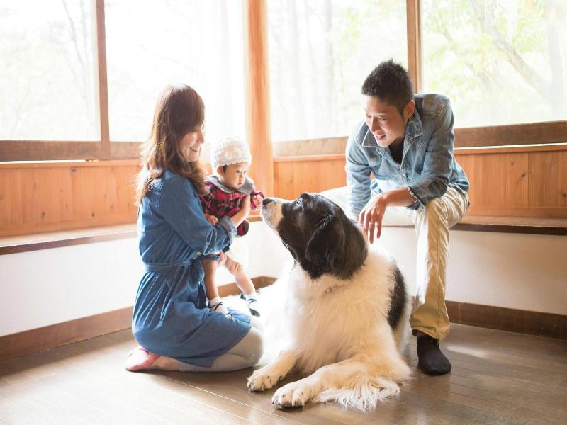 Izumigo Hotel Ambient Tateshina Cottage image