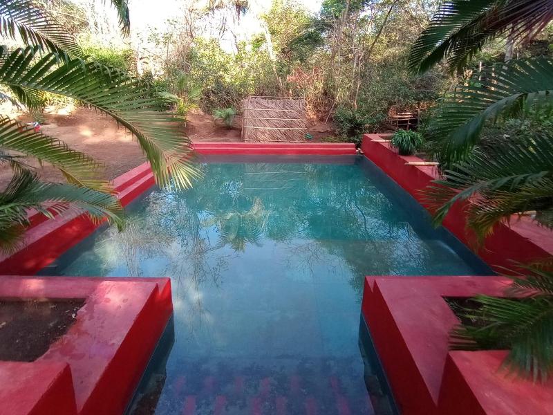 Natures Nest Resort image