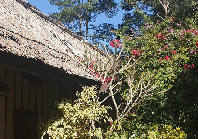 Nong Kiau Riverside Resort image