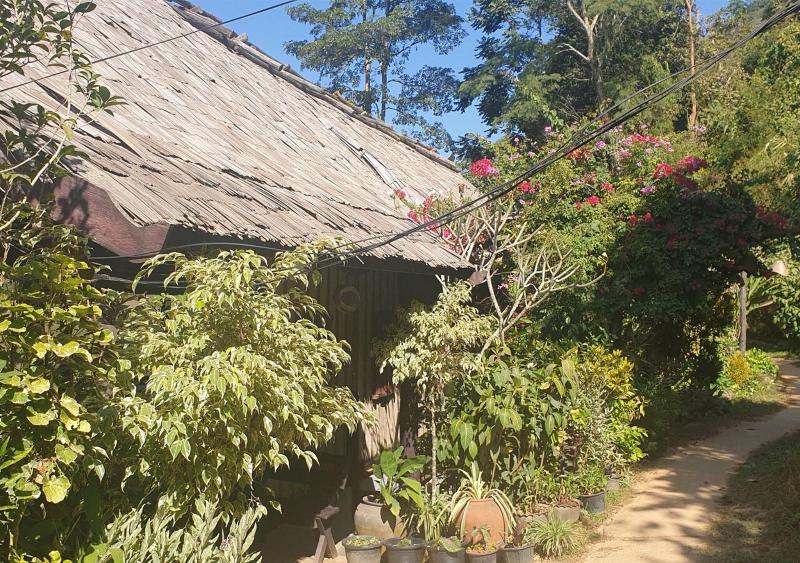 Nong Kiau Riverside Resort image