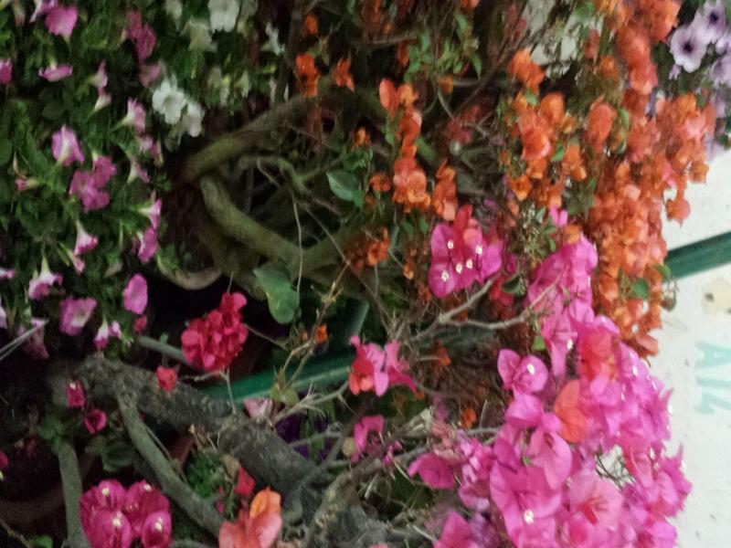 Dipankara Holiday Home Boudha image