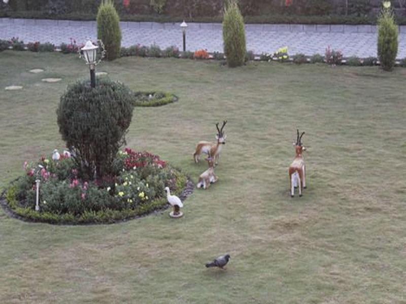 Dipankara Holiday Home Boudha image