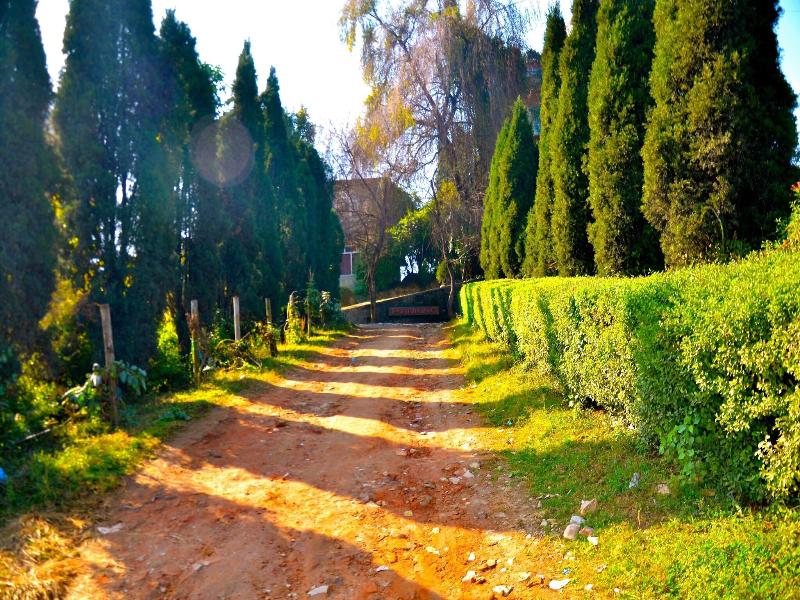 Araniko Village Resort image