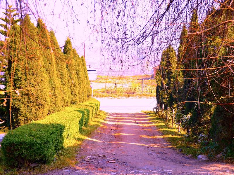 Araniko Village Resort image