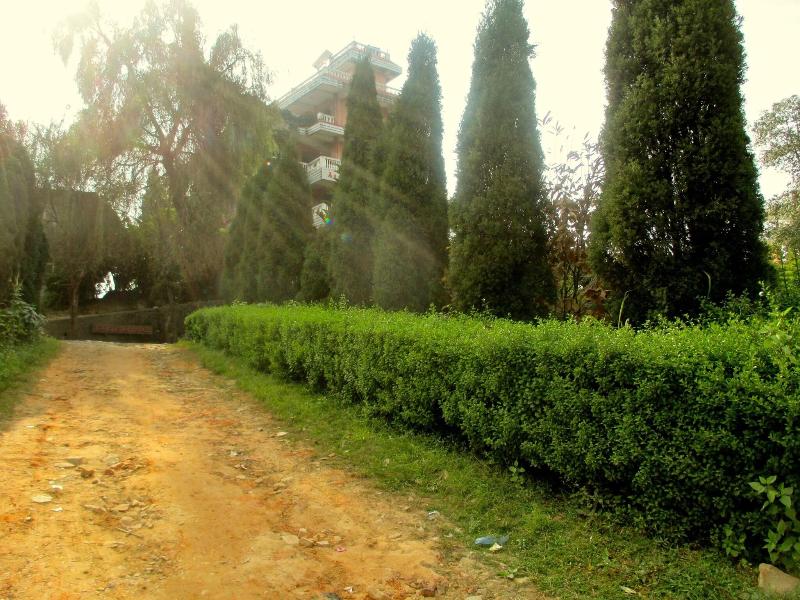 Araniko Village Resort image