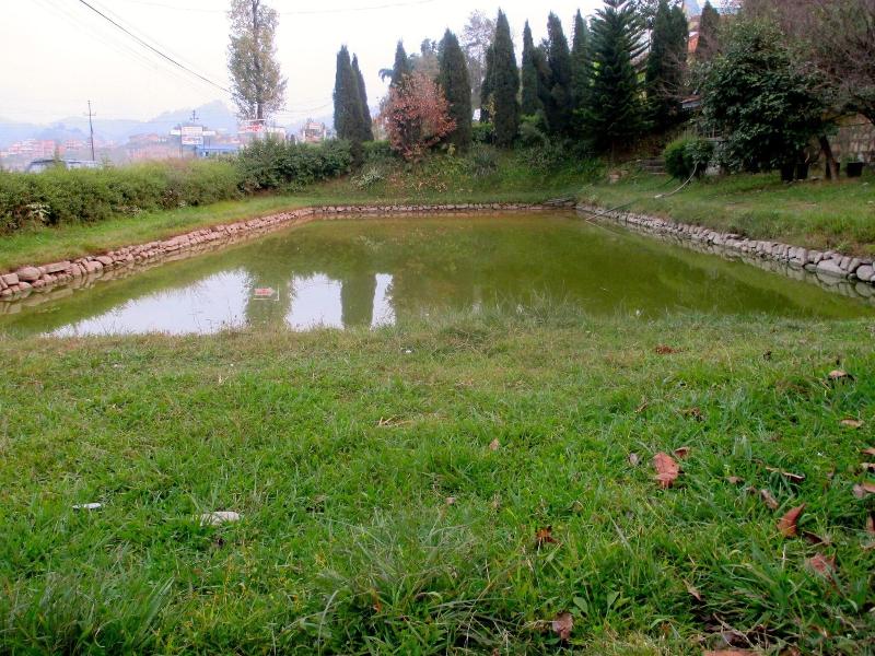 Araniko Village Resort image