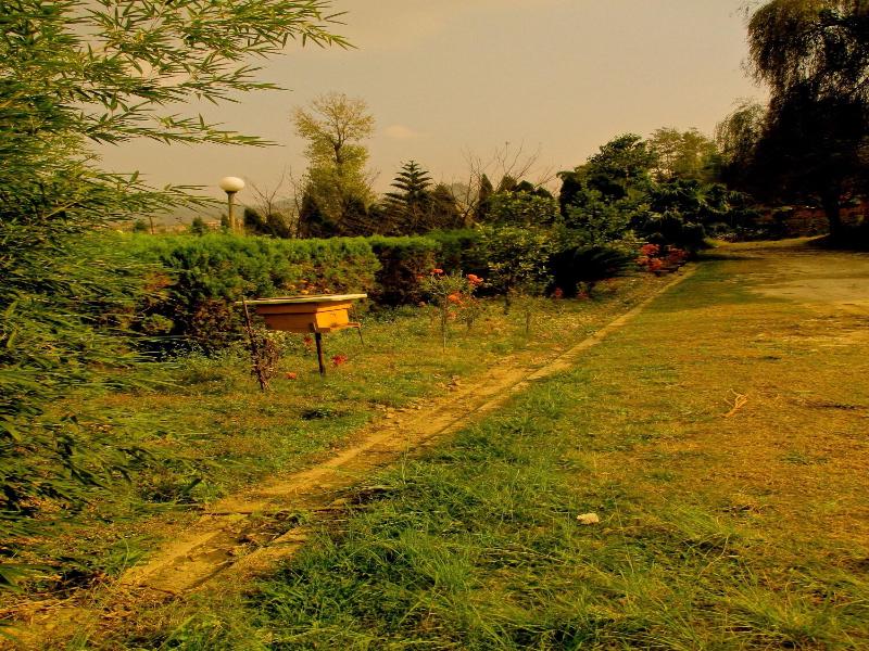 Araniko Village Resort image