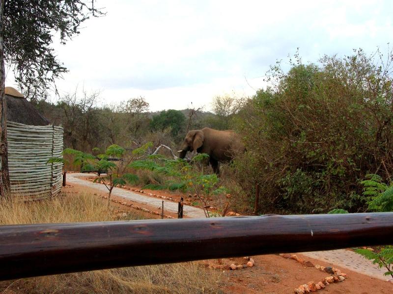 Baluleni Safari Lodge image