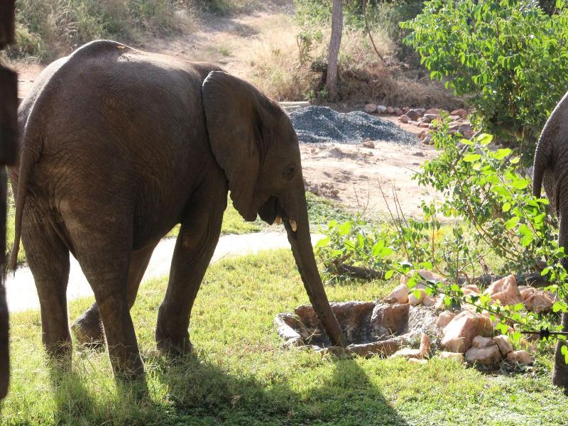Baluleni Safari Lodge image