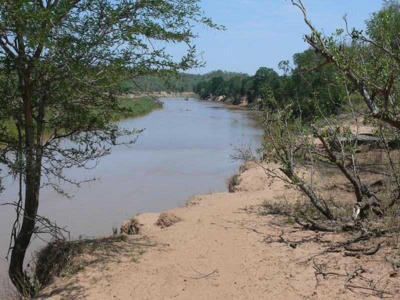 Baluleni Safari Lodge image