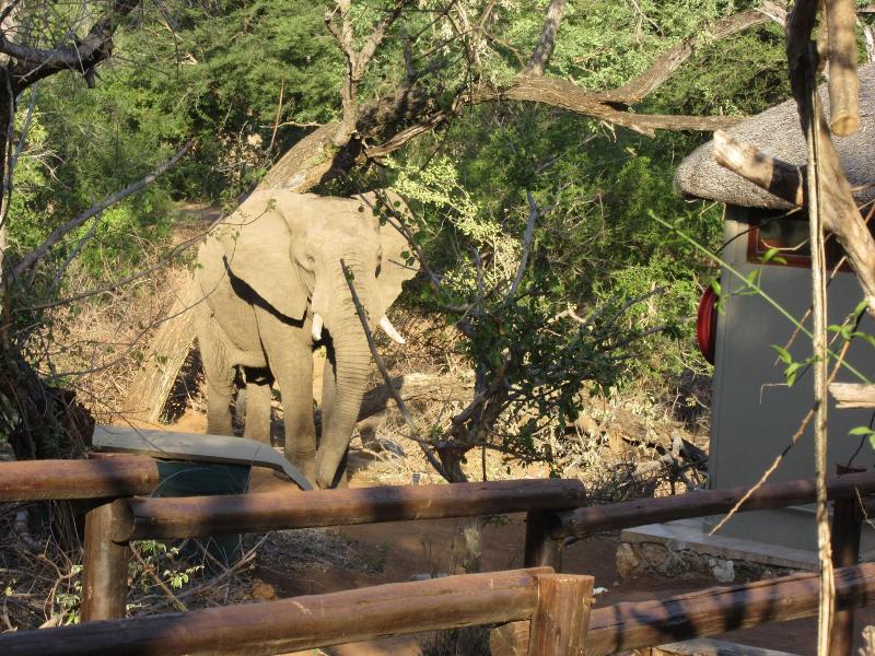 Baluleni Safari Lodge image
