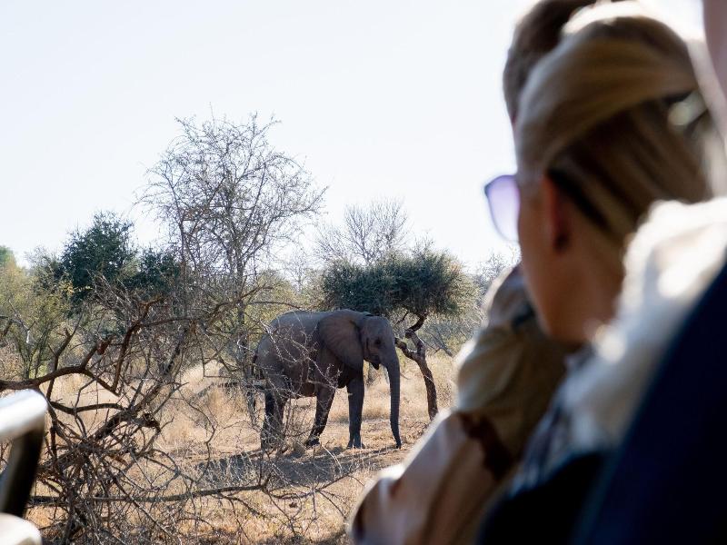 Baluleni Safari Lodge image