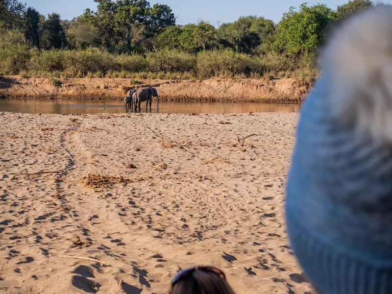 Baluleni Safari Lodge image