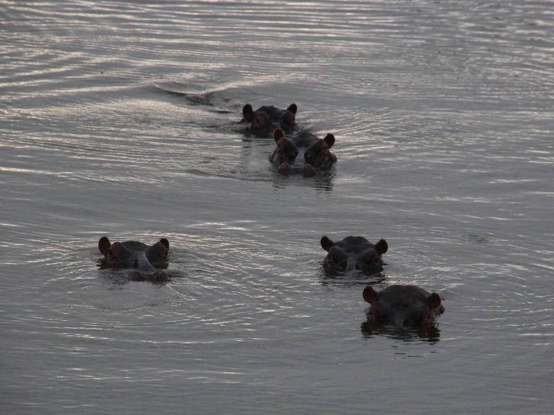 Baluleni Safari Lodge image