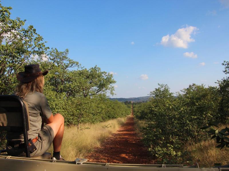 Baluleni Safari Lodge image