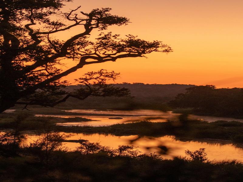 Baluleni Safari Lodge image