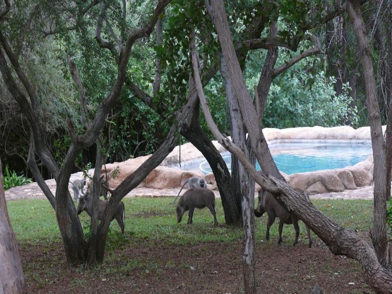 Baluleni Safari Lodge image