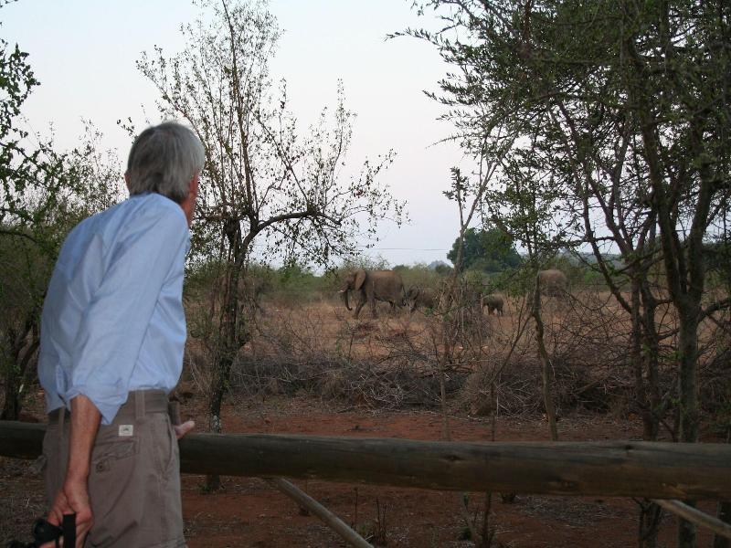 Baluleni Safari Lodge image
