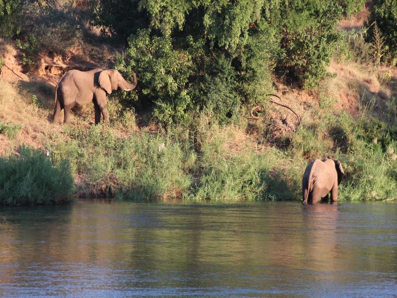 Baluleni Safari Lodge image