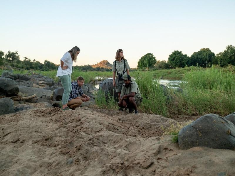 Baluleni Safari Lodge image