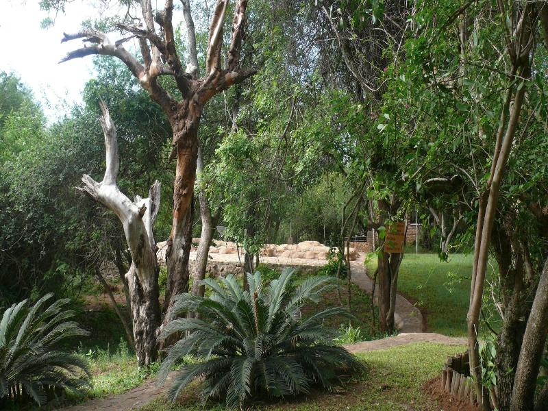 Baluleni Safari Lodge image