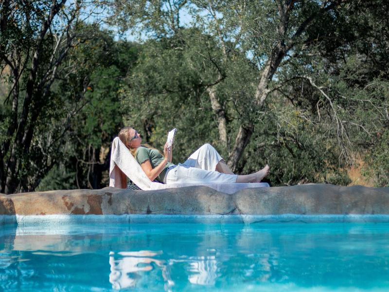 Baluleni Safari Lodge image