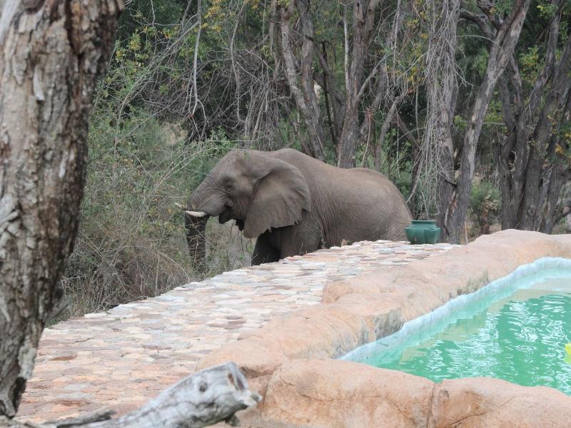 Baluleni Safari Lodge image
