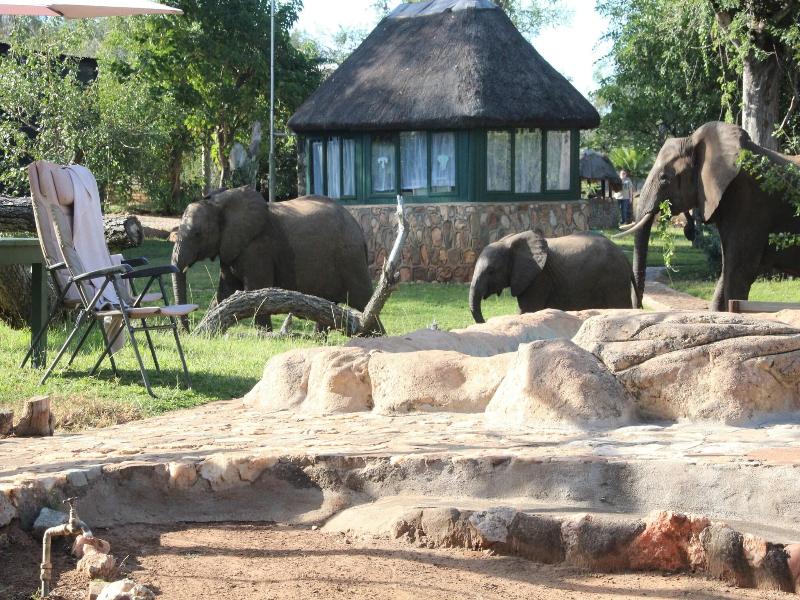 Baluleni Safari Lodge image