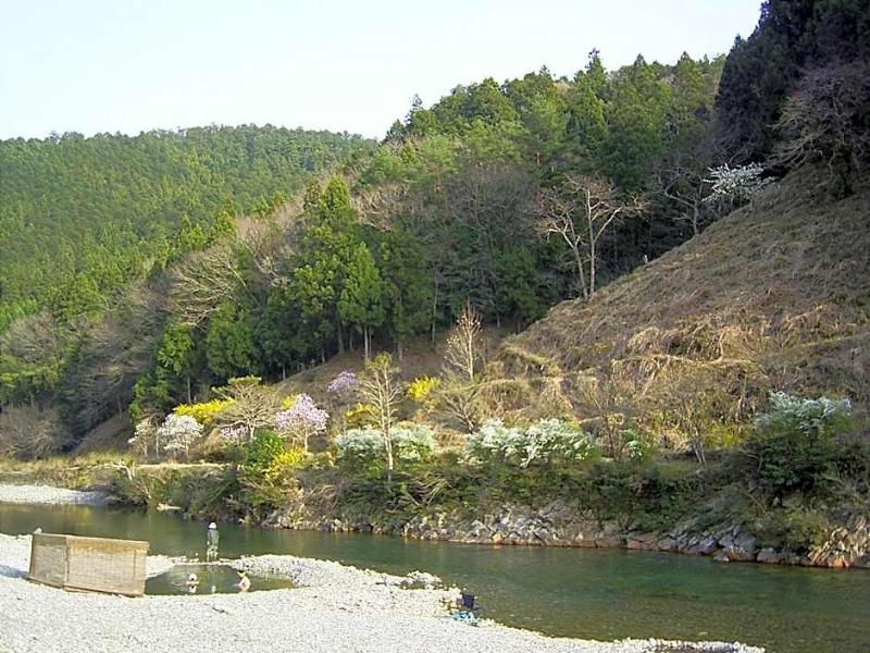 Ashita No Mori image