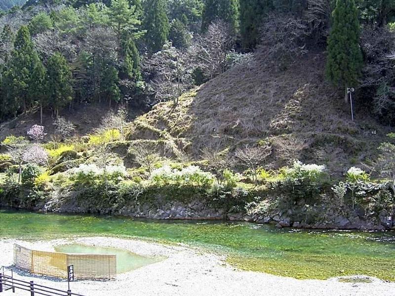Ashita No Mori — general view