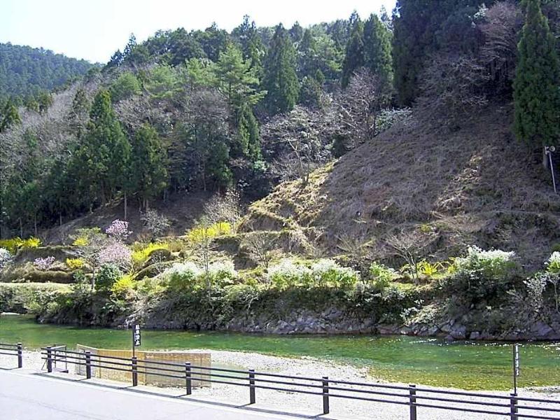 Ashita No Mori — general view