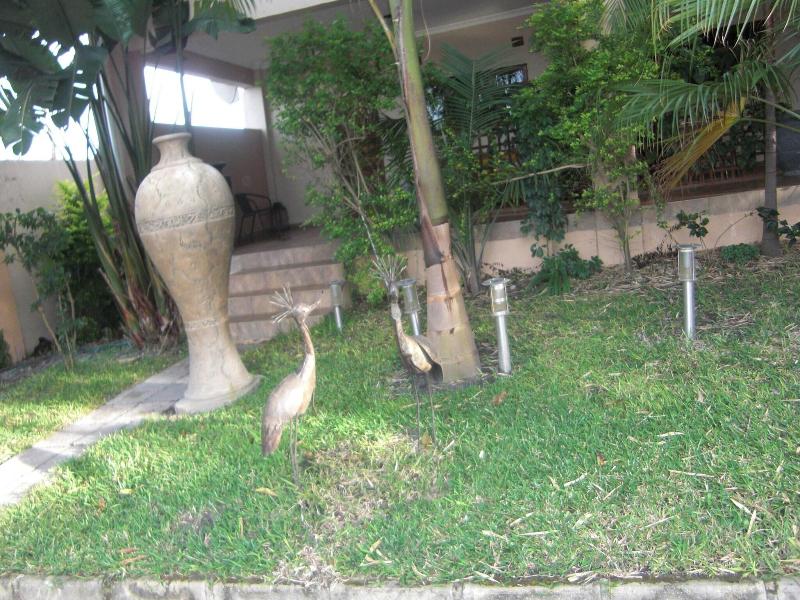 Shamba Lodge image