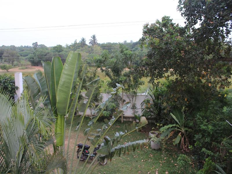 All View Resort image