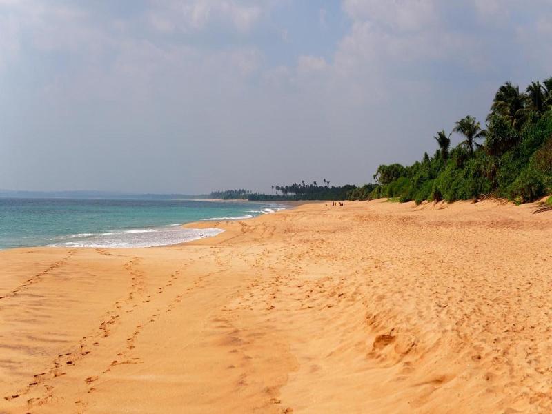 All View Resort image