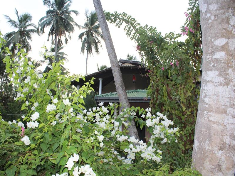 All View Resort image