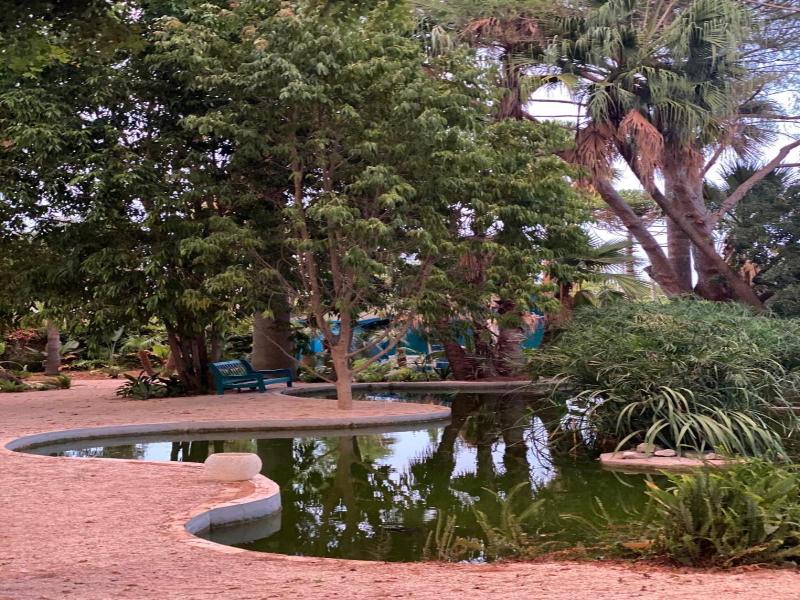 El Botanico De Sagra image