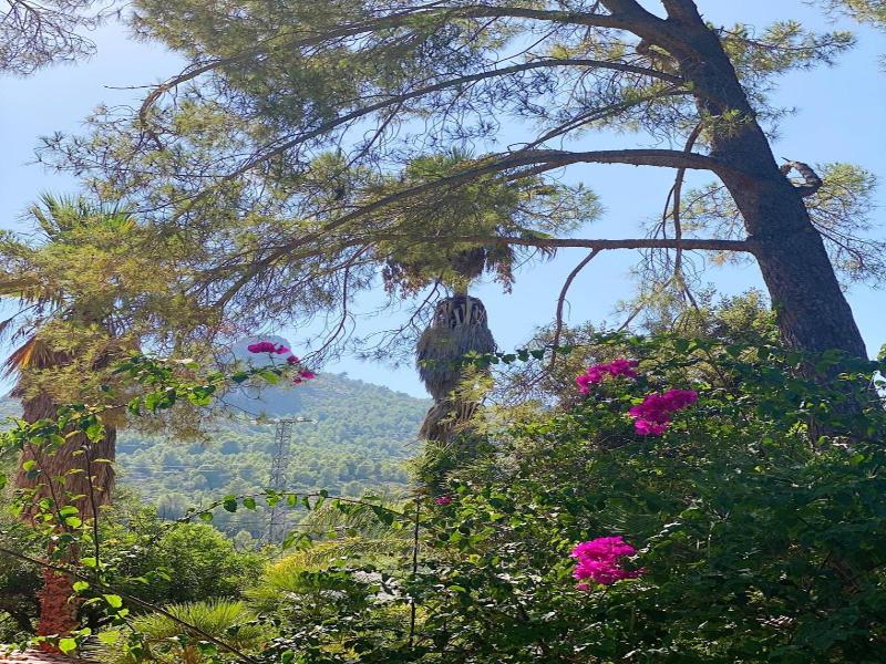 El Botanico De Sagra image